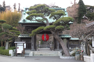 长谷寺