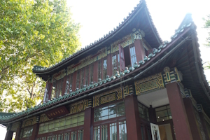 先锋虫子书店