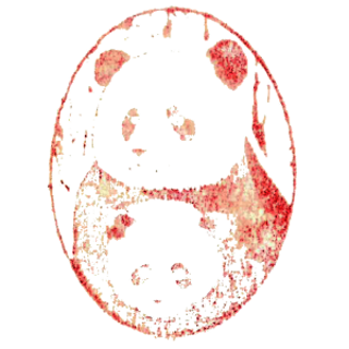 明信片《熊猫百态》大小熊猫